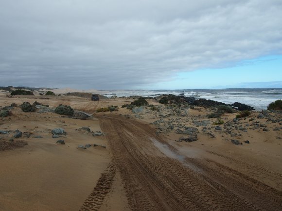 SANDY CAPE, LIAWENEE, CENTRAL TASMANIA IN TASMANIA